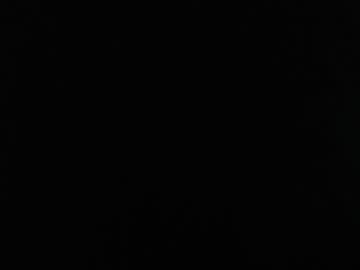 Profile of fenix_taylor