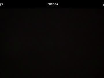 Profile of team_xo