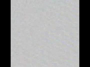Profile of shycoupel