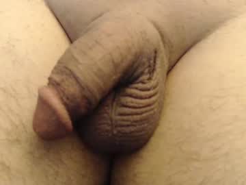 Greystag Chaturbate profile image
