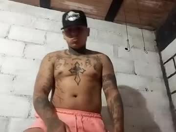 Alex31v162982 Chaturbate profile image