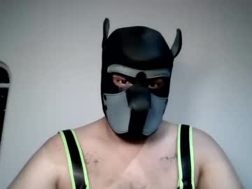 Mrmexpup Chaturbate profile image