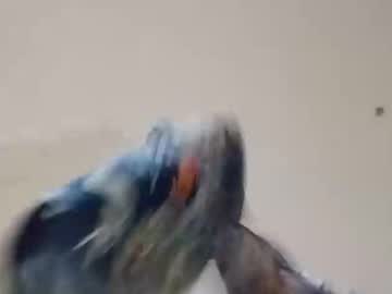 Smakdragon13 Chaturbate profile image