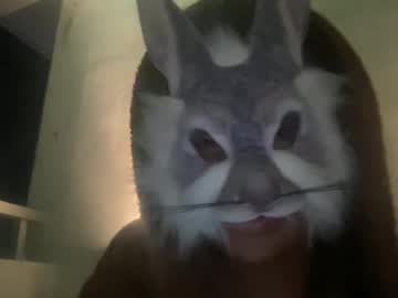Candybunnyxo Chaturbate profile image