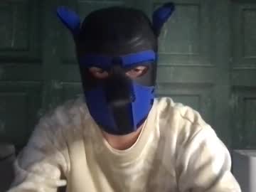 Maskdxl Chaturbate profile image