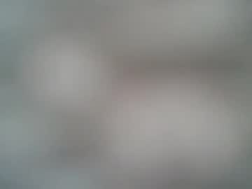Profile of lollylollita