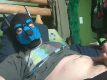 Rywolfy Chaturbate profile image