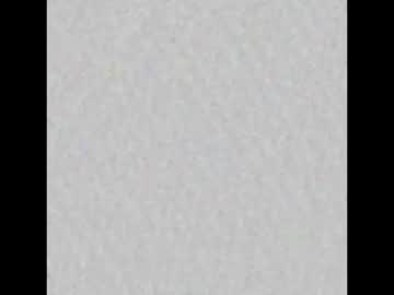 Dovahdoll Chaturbate profile image