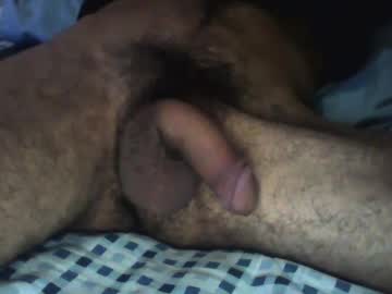 Cribox5 Chaturbate profile image