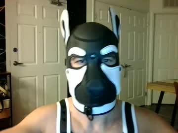 R4venli0n Chaturbate profile image