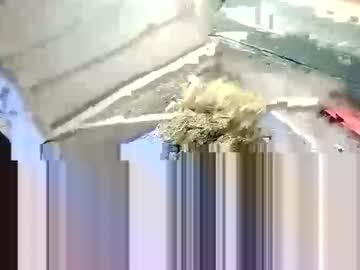 Timoteoooooh Chaturbate profile image