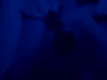 Skinnybuoy Chaturbate profile image