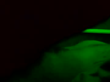 Mbv14o8 Chaturbate profile image