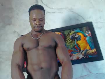 Mrbyronstallion