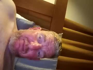 Profile of bignorm79