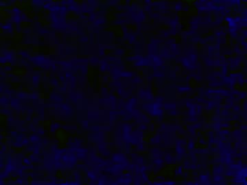 Babybutt4 Chaturbate profile image