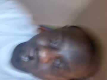 Charlesrpelletier61 Chaturbate profile image