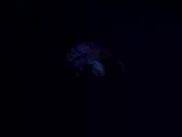Ufuk0909 Chaturbate profile image