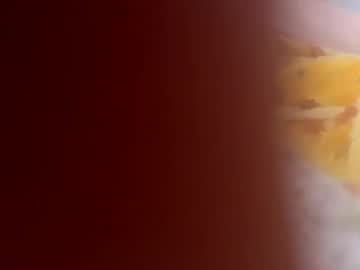 Jerkingoff444 Chaturbate profile image