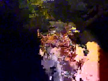 Profile of juicebox5000