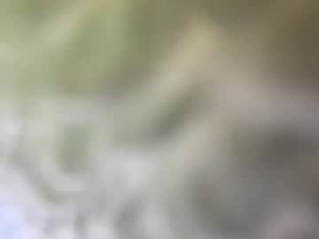 Profile of leanyung99