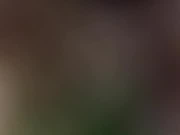 Strokdisdic Chaturbate profile image