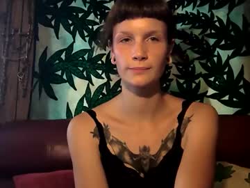Syner27 Chaturbate profile image