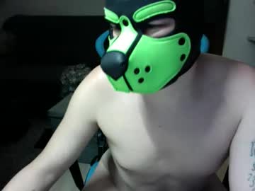 Profile of rocky_thepuppy