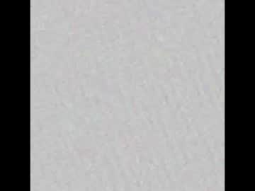 Pppapppi Chaturbate profile image