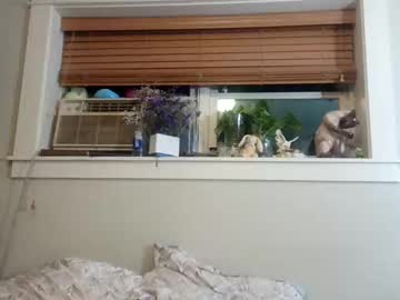Profile of dominofawn