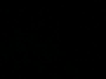 Anomaly201911 Chaturbate profile image