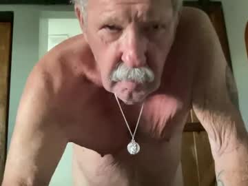 Stellerwind Chaturbate profile image