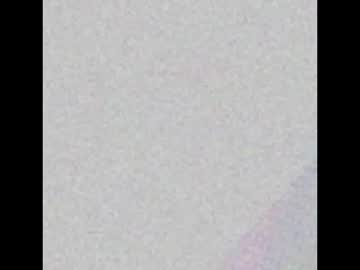 Williehardwood Chaturbate profile image