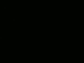 Profile of turnerdominoso