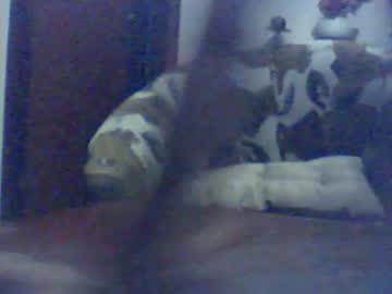 Wendersonpierre Chaturbate profile image