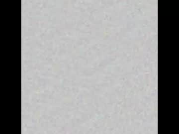 Briansting Chaturbate profile image
