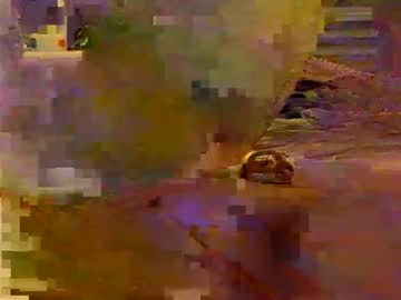 Maltese971 Chaturbate profile image