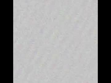 _Palyn Chaturbate profile image