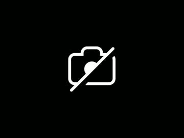 Ellibell26 Chaturbate profile image
