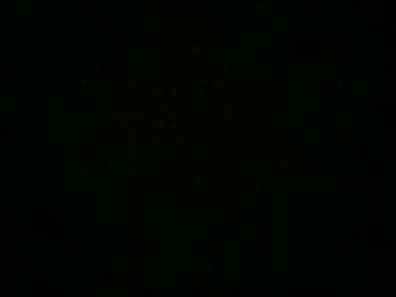 Nicolino1020 Chaturbate profile image
