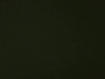 Naughty216280 Chaturbate profile image