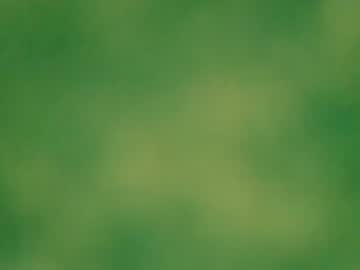 Adj8381 Chaturbate profile image