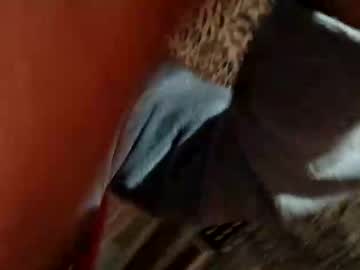 Lindo12381 Chaturbate profile image