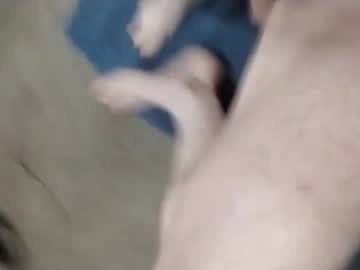 Milkerfun Chaturbate profile image
