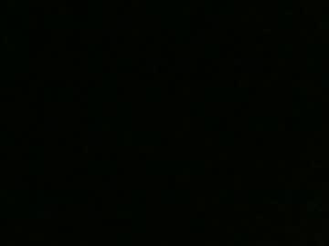 Adan69eve Chaturbate profile image