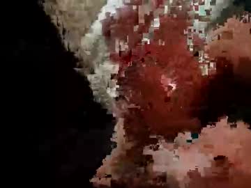 Flextrex869991 Chaturbate profile image