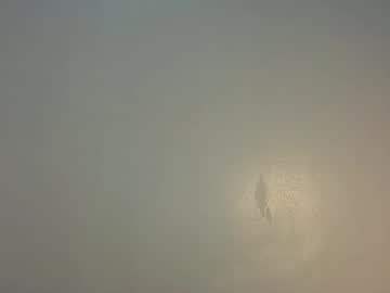 Asian_Love4u Chaturbate profile image