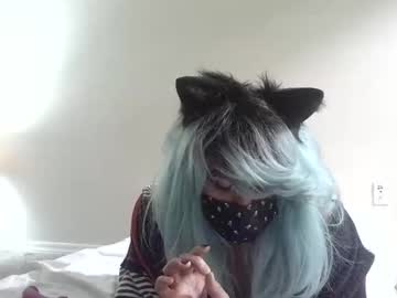 Twinkyteddy Chaturbate profile image
