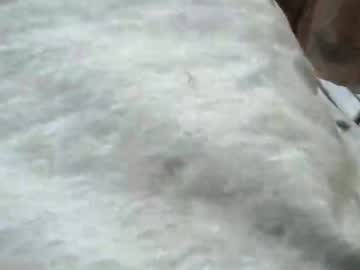 Showshow3321 Chaturbate profile image