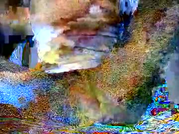 Qubyktruynjz Chaturbate profile image